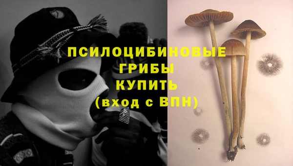 каннабис Алзамай