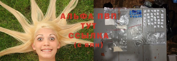 стафф Алексин